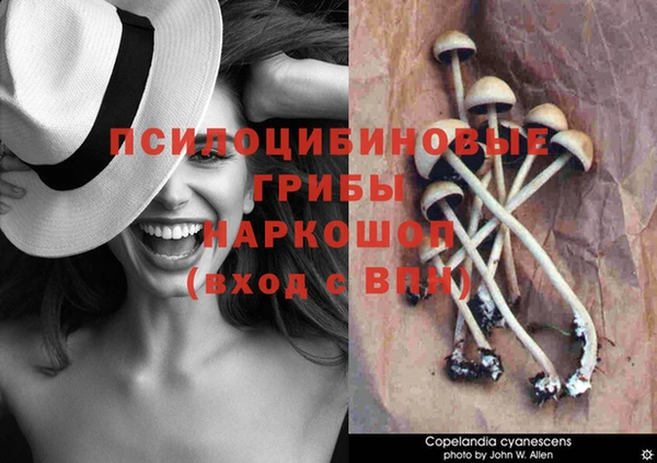 ГАЛЛЮЦИНОГЕННЫЕ ГРИБЫ Балахна
