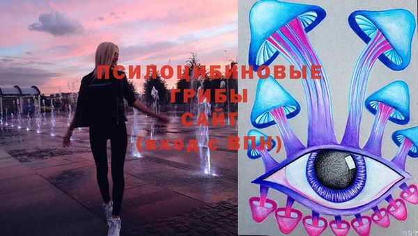 ГАЛЛЮЦИНОГЕННЫЕ ГРИБЫ Балахна
