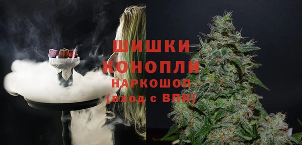 ГАЛЛЮЦИНОГЕННЫЕ ГРИБЫ Балахна