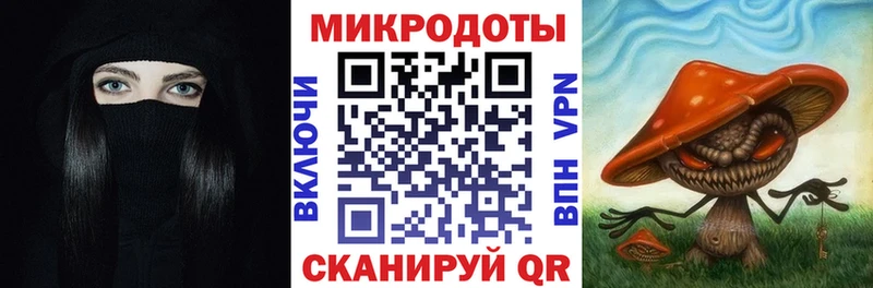 Псилоцибиновые грибы Psilocybine cubensis Котельниково